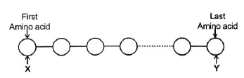 NEET Biology Biomolecules MCQs Set A5