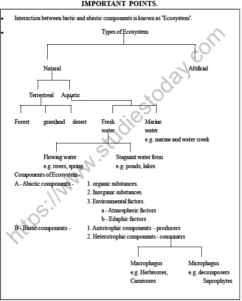 NEET Biology Ecosystem MCQs