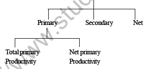 NEET Biology Ecosystem MCQs1