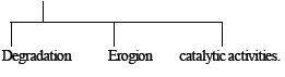 NEET Biology Ecosystem MCQs2