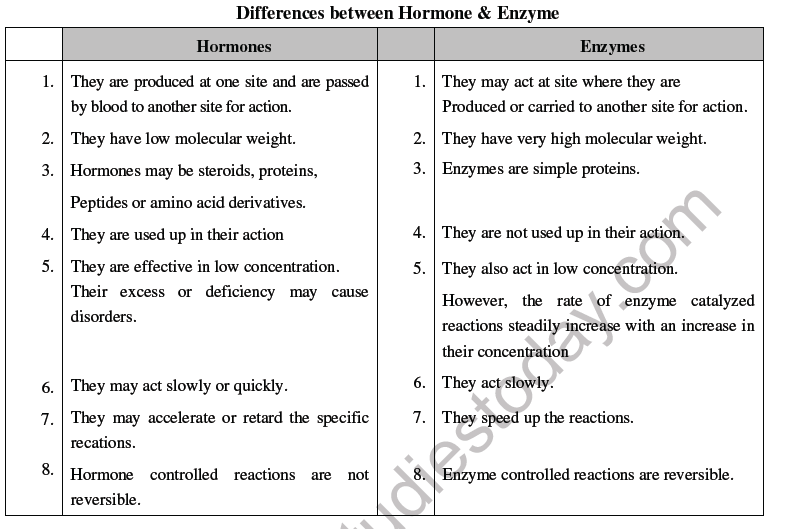 NEET Biology Endocrine System Chapter Notes1