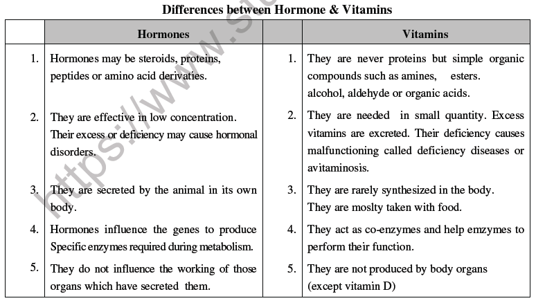 NEET Biology Endocrine System Chapter Notes2