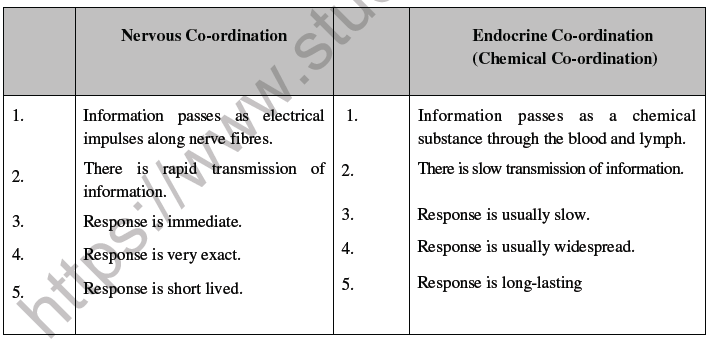 NEET Biology Endocrine System Chapter Notes