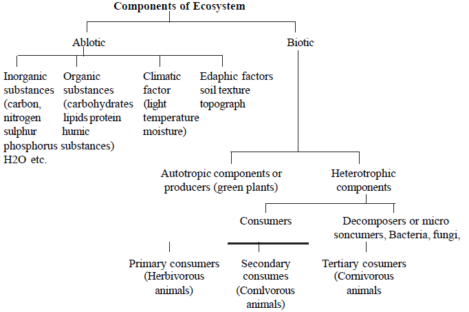 NEET Biology Natural Resources Revision Notes1