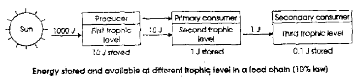 NEET Biology Natural Resources Revision Notes2