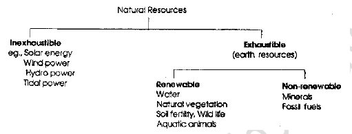 NEET Biology Our Natural Resources Revision Notes
