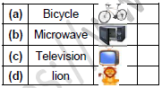 CBSE Class 1 Computer Science A Magic Machine Set A1