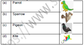 CBSE Class 1 English A Kite Set A1