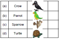 CBSE Class 1 English A Little Turtle Set A1