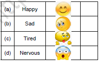 CBSE Class 1 English A Little Turtle Set A3