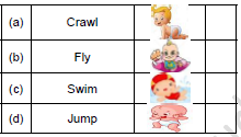 CBSE Class 1 English A Little Turtle Set B1