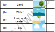 CBSE Class 1 English A Little Turtle Set B2