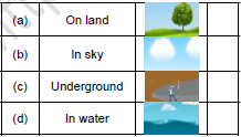 CBSE Class 1 English A Little Turtle Set B3