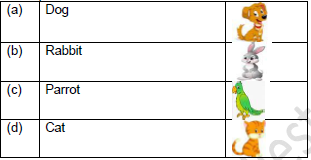 CBSE Class 1 English Anandi rainbow Set C1