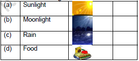 CBSE Class 1 English Clouds Worksheet Set A4