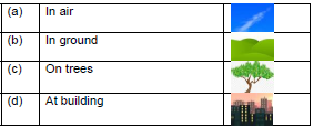 CBSE Class 1 English If I were an Apple Worksheet Set B4