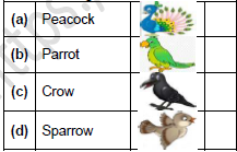 CBSE Class 1 English Once I saw a Little Bird Mittu and the Yellow Mango Worksheet Set A3