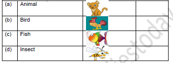 CBSE Class 1 English Once I saw a Little Bird Worksheet Set A5