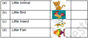 CBSE Class 1 English Once I saw a Little Bird Worksheet Set B1