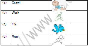 CBSE Class 1 English Once I saw a Little Bird Worksheet Set B2