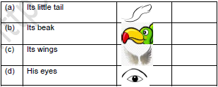 CBSE Class 1 English Once I saw a Little Bird Worksheet Set B3