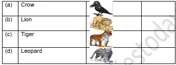 CBSE Class 1 English Once I saw a Little Bird Worksheet Set B51