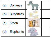 CBSE Class 1 English One Little Kitten  Set A5