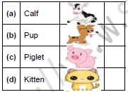 CBSE Class 1 English One Little Kitten Lalu and Peelu Worksheet Set B2