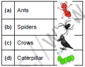 CBSE Class 1 English Our Tree Set A