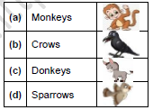 CBSE Class 1 English Our Tree Set A2