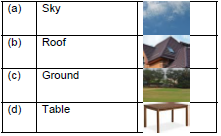 CBSE Class 1 English Our Tree Set B1