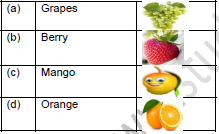 CBSE Class 1 English Our Tree Set B2