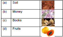 CBSE Class 1 English Our Tree Set B4