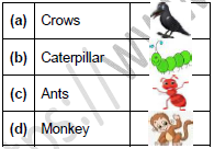 CBSE Class 1 English Our Tree Set C3