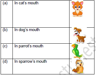 CBSE Class 1 English Sundari Set A