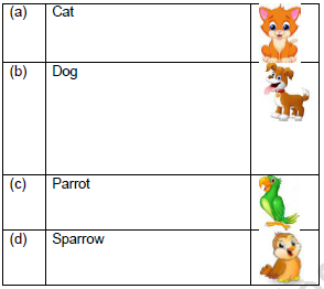 CBSE Class 1 English Sundari Set B4