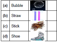 CBSE Class 1 English The Bubble The Straw and The Shoe Worksheet Set A5