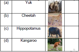 CBSE Class 1 GK Animal Kingdom Worksheet Set A1
