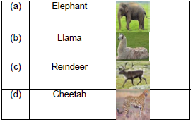 CBSE Class 1 GK Animal Kingdom Worksheet Set A4