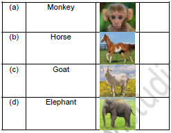CBSE Class 1 GK Animals Worksheet Set A1