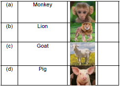 CBSE Class 1 GK Animals Worksheet Set A3