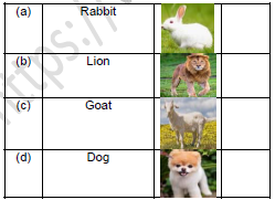 CBSE Class 1 GK Animals Worksheet Set A5