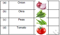 CBSE Class 1 GK Fruits and Vegetables Worksheet Set A