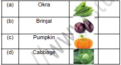 CBSE Class 1 GK Fruits and Vegetables Worksheet Set A2