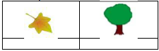 CBSE Class 1 Maths Measurement Heavier-Lighter Worksheet Set D1