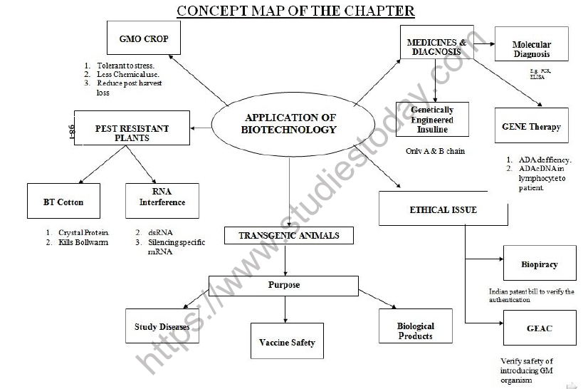 CBSE Class 12 Biology Biotechnology and its Application Mind Map