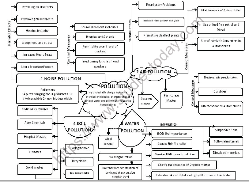 CBSE Class 12 Biology Environmental Issues Mind Map