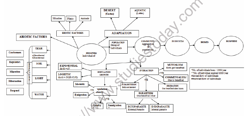 CBSE Class 12 Biology Organisms and Populations Mind Map