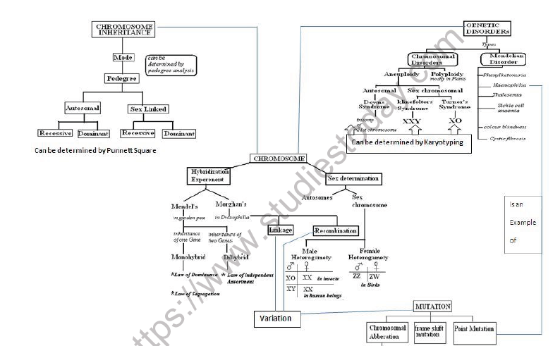 CBSE Class 12 Biology Principles of inheritance and variation Mind Map