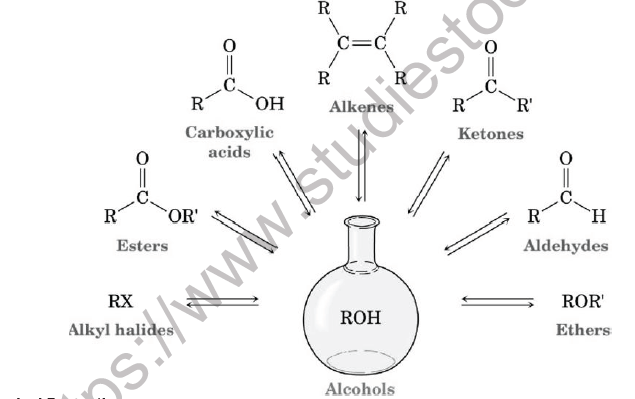 CBSE Class 12 Chemistry Alcohols Phenols and Ethers Board Exam Notes-1